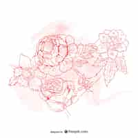 Free vector flowers drawing