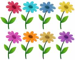 Vettore gratuito fiori in otto colori diversi