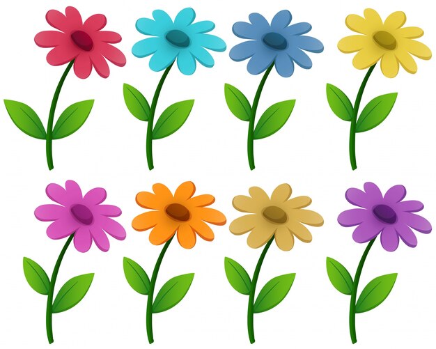 Цветы в восьми разных цветах