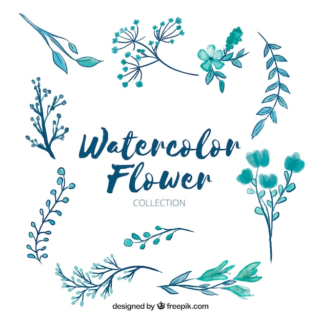 Free vector flowers elements collection in watercolor style