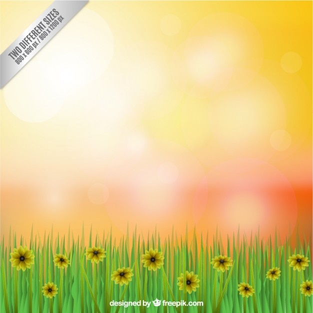 Free vector flowers field background