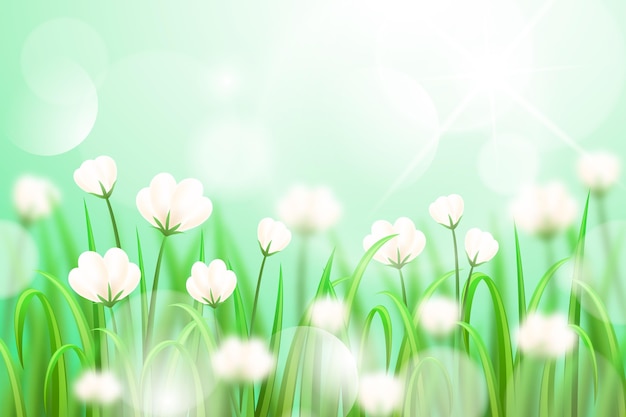 Free vector flowers on a field realistic blurred spring background