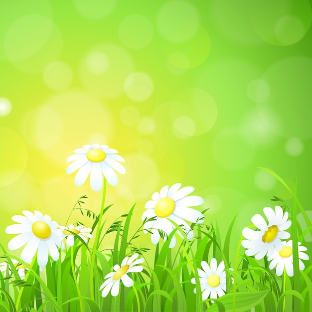 Free vector flowers and grass in the field