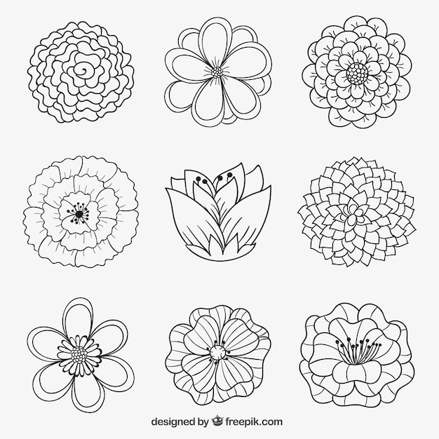 Free vector flowers in hand drawn style