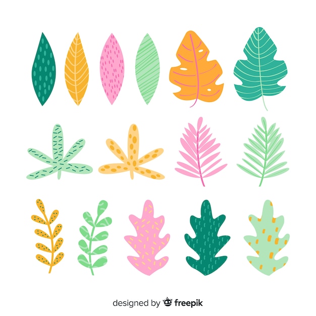 Free vector flowers and leaves collectio