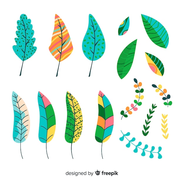 Free Vector flowers and leaves collectio
