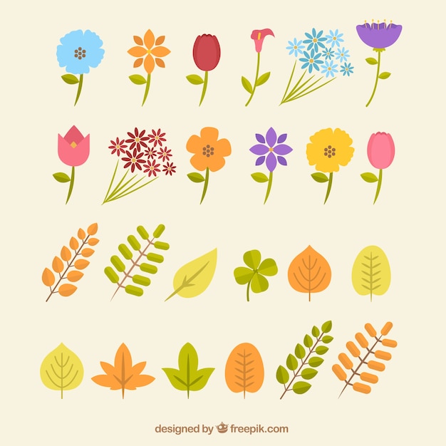 Flowers and leaves in flat design