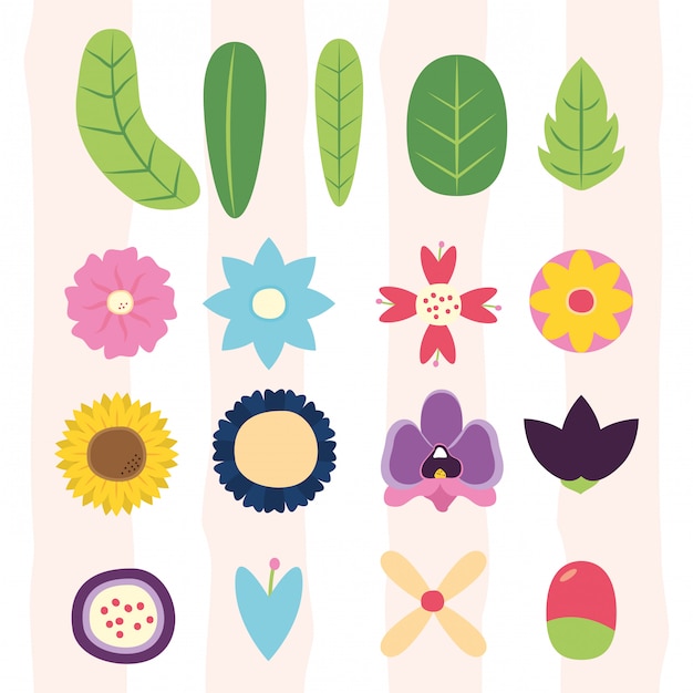 Flowers leaves flora differents leaves, flowers, flora illustration 