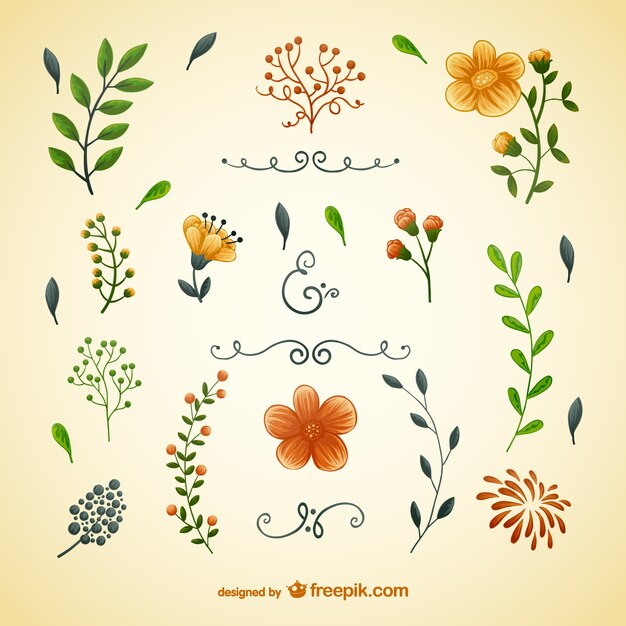 Flowers and leaves illustrations