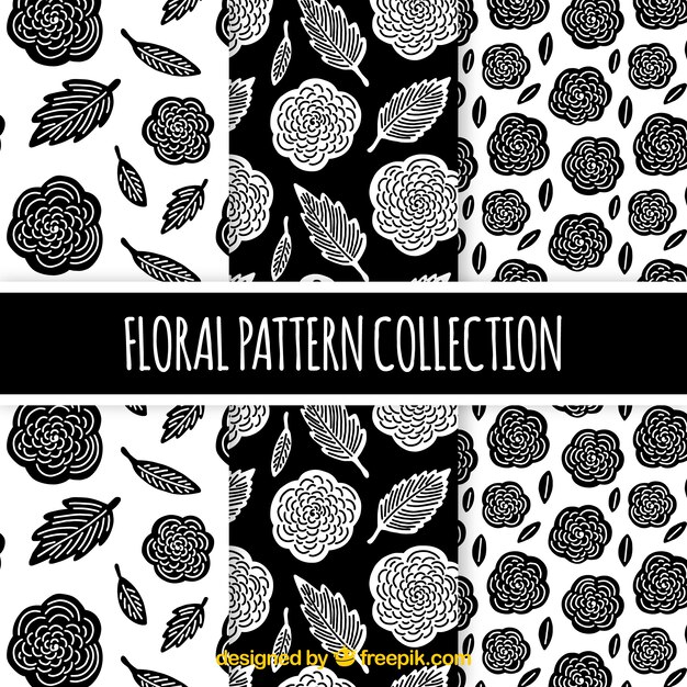 Flowers patterns collection in black and white