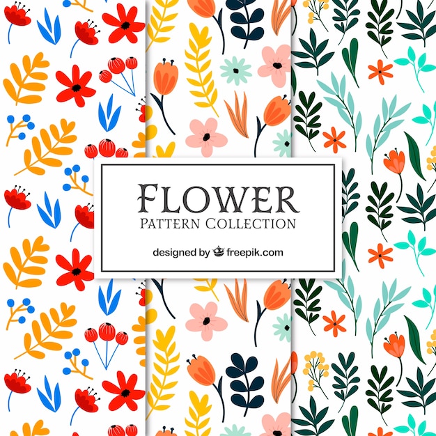 Flowers patterns collection in flat style