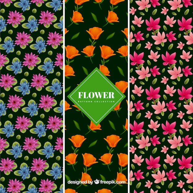 Free vector flowers patterns collection in realistic style