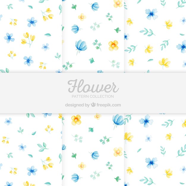 水彩様式の花模様のコレクション