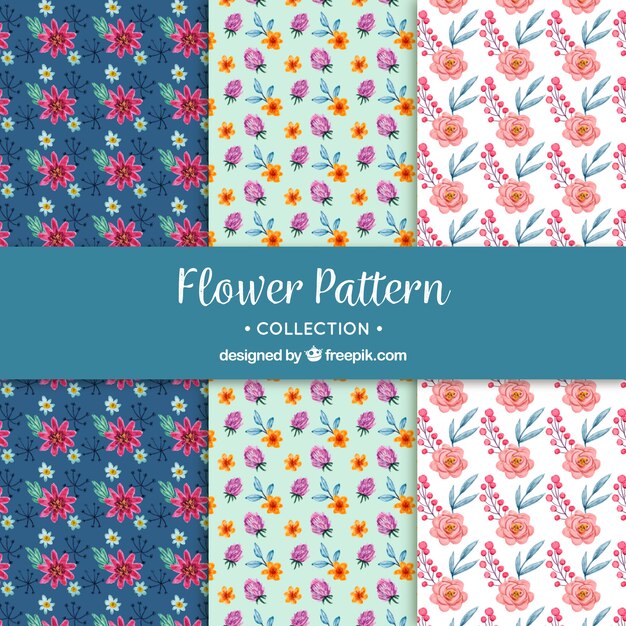 Flowers patterns collection with different colors