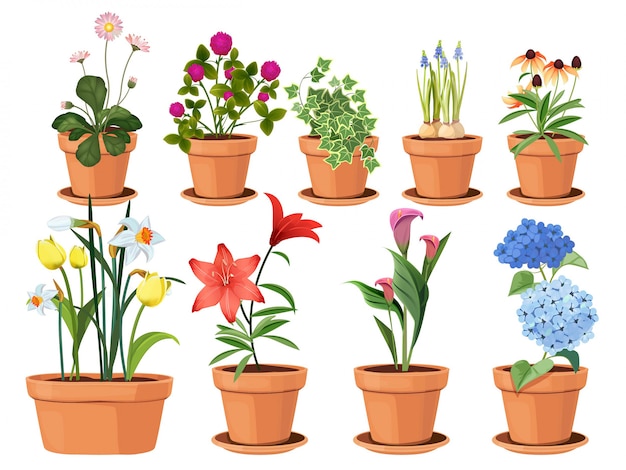 Flowers pot. nature cartoon illustration of flowers and leaves beautiful collection