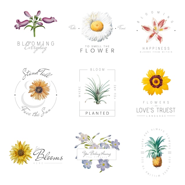 Free vector flowers with quotes