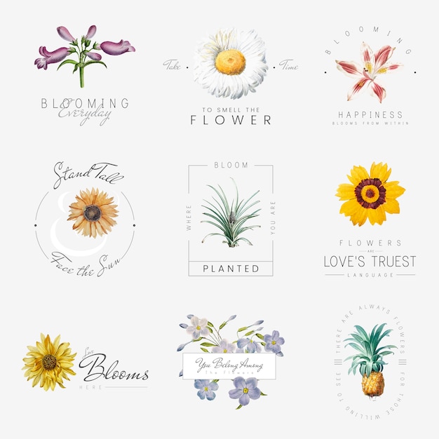 Free vector flowers with quotes