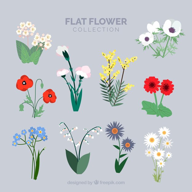 Flowers with stem collection in flat style
