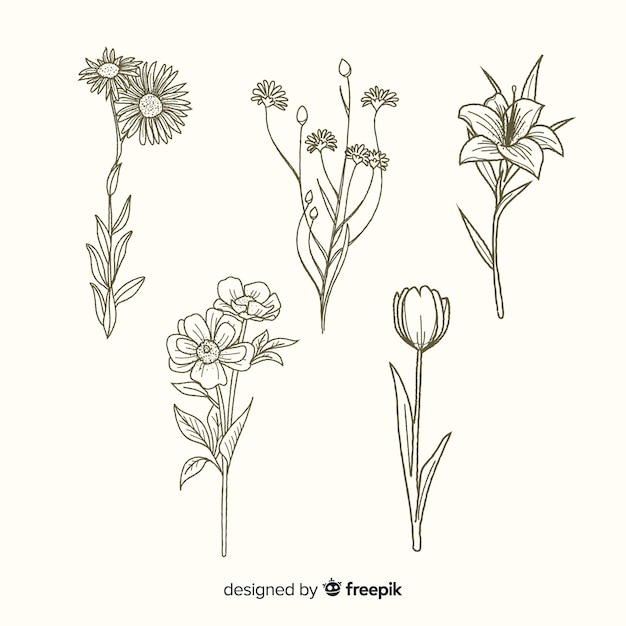 Flowers with stems hand drawn collection