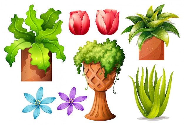 Free vector flowers