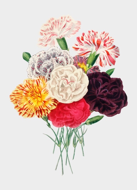 Free vector flowers