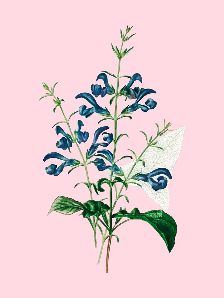 Free Vector flowers 