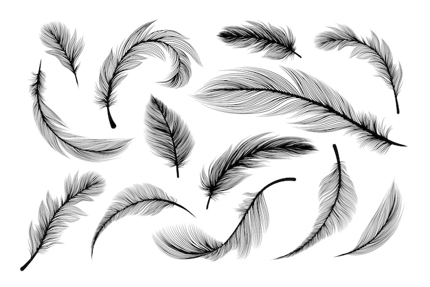 Fluffy feathers, flying plume quills silhouettes