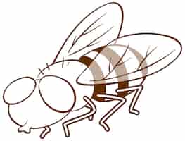 Free vector fly in doodle simple style on white background