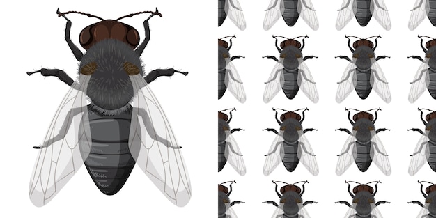 Free vector fly insect and seamless background