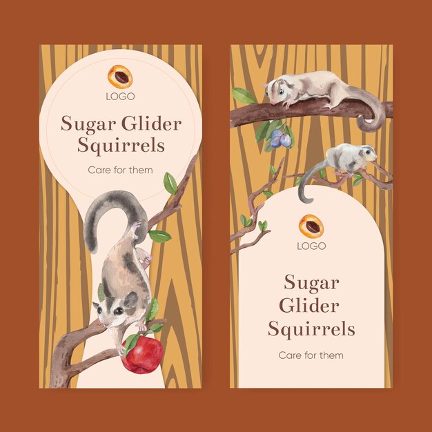 Flyer template with adorble sugar gliders concept,watercolor style