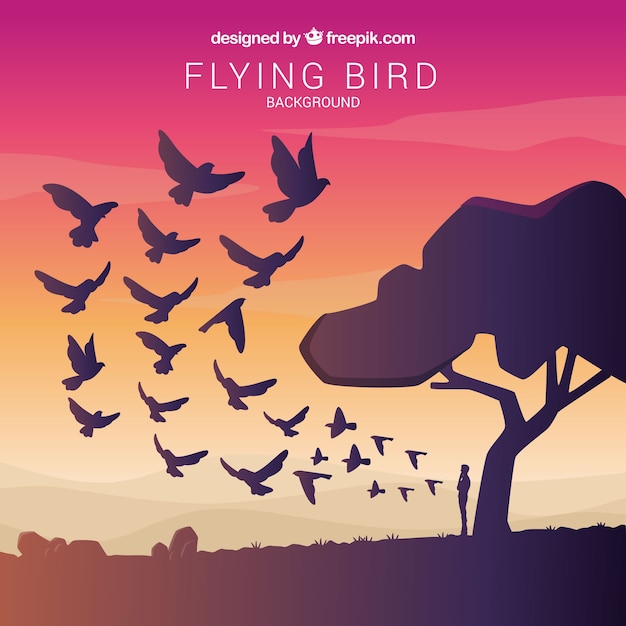 Flying bird background at sunset