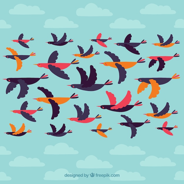 Коллекция летающих птиц
