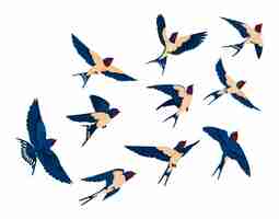 Free vector flying bird various view collection set. flock of swallows isolated on white background. cartoon illustration