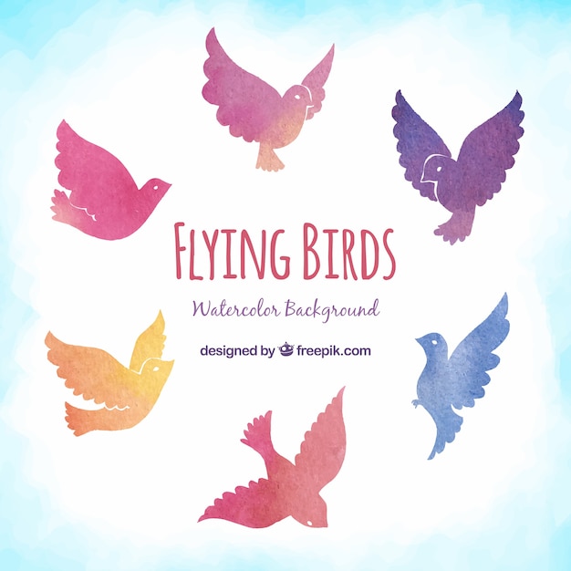 Flying birds background