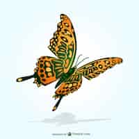 Free vector flying butterfly