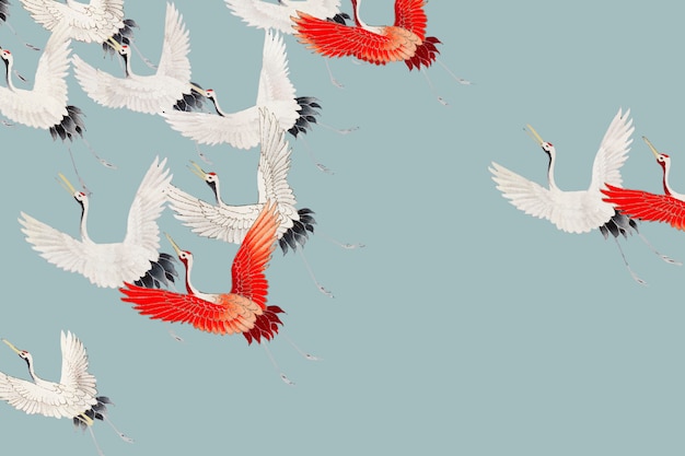 Flying cranes background