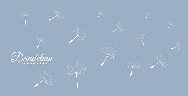 Flying dandelion flower seeds background