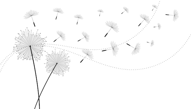 無料ベクター 飛んでいるタンポポの種の花の背景