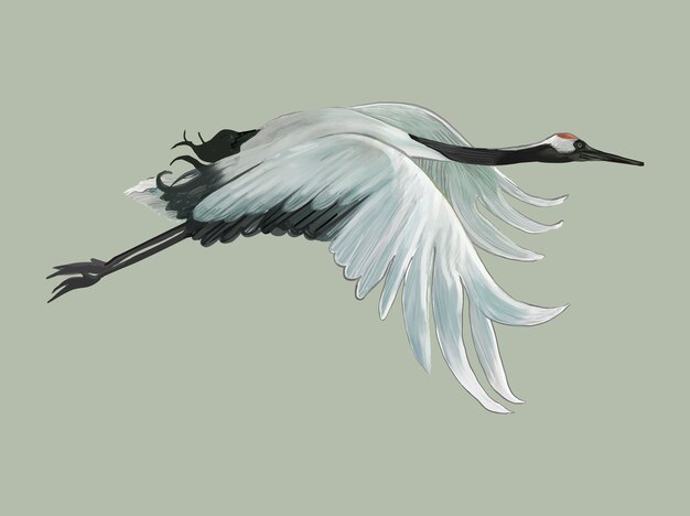 Летающий элегантный белый японский кран