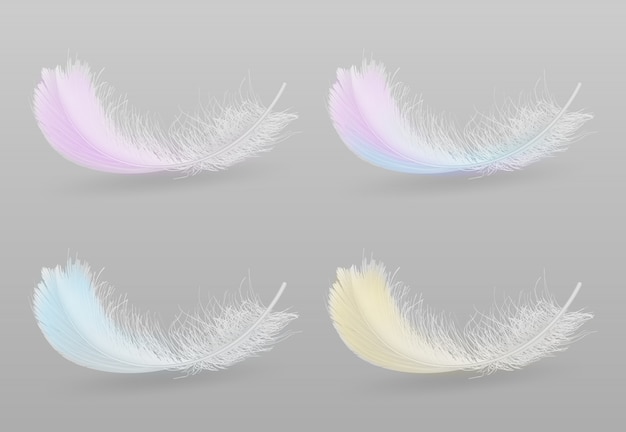 Free vector flying or falling down exotic bird colorful, fluffy feathers