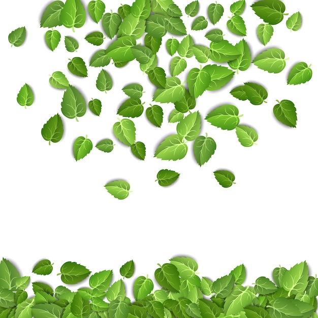 白い背景の上の空飛ぶ緑の葉孤立した背景の葉植物ベクトルの春の葉のパターン