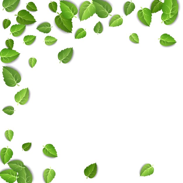 白い背景の上の空飛ぶ緑の葉孤立した背景の葉植物ベクトルの春の葉のパターン