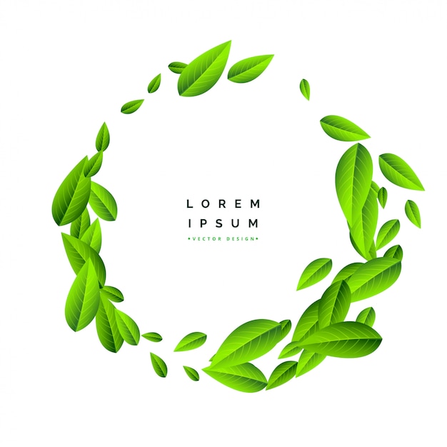 Free vector flying green leaves on white background