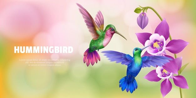 Flying hummingbird realistic background with tropical fauna and fauna symbols vector illustration