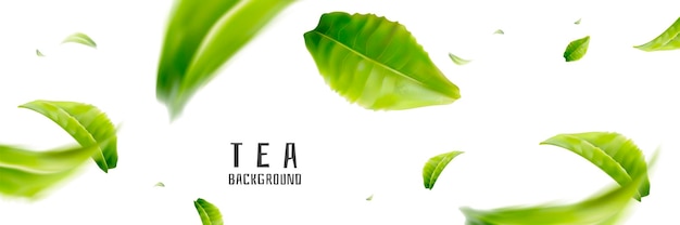 Flying tea background, fresh design elements in 3d illustration