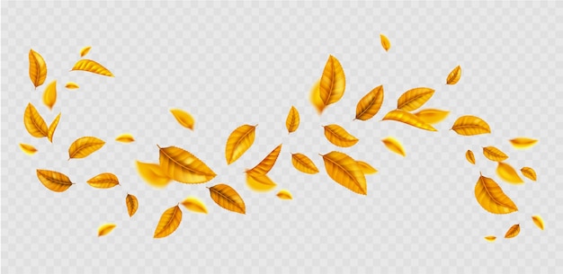 Free vector flying yellow leaf curly wave line