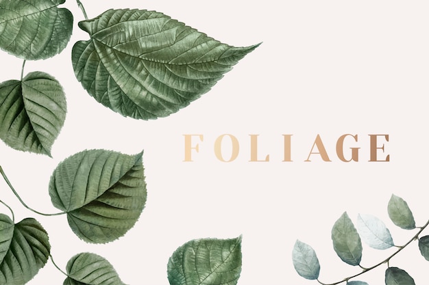 Foliage background 