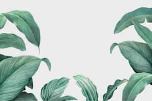 Free vector foliage background