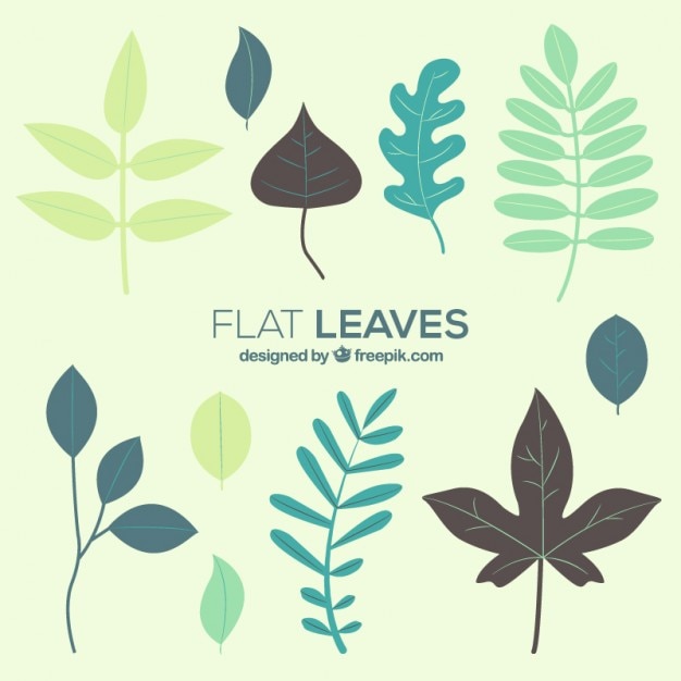 Free vector foliage collection