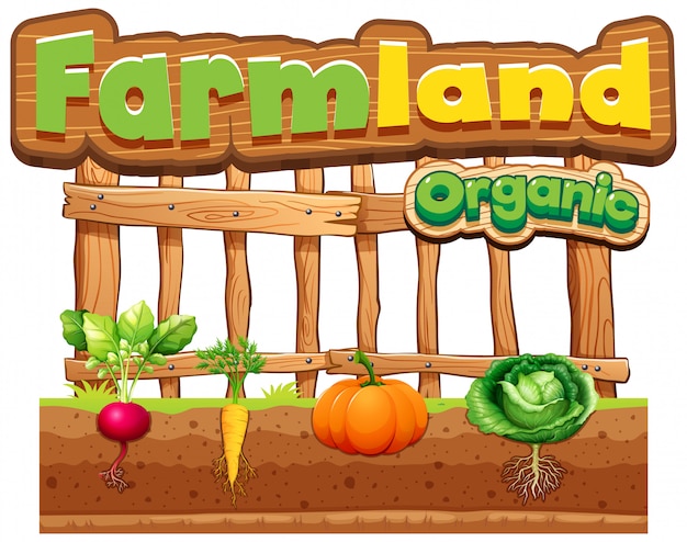 Free vector font design for word farmland with fresh vegetables